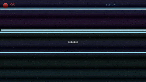 周末随拍记录 - 免费正能量不良网站入口 原创视频